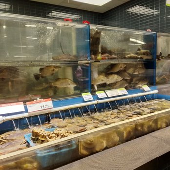 T&T Supermarket - Many sizable fresh seafood tanks - International Grocery Near Me - Richmond, British Columbia T&T Supermarket - Many sizable fresh seafood tanks - International Grocery Near Me - Richmond, British Columbia