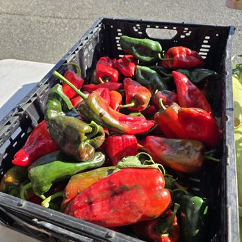 Everett Farmers Market - Beautiful peppers - Farmers Market Near Me - Everett, Washington