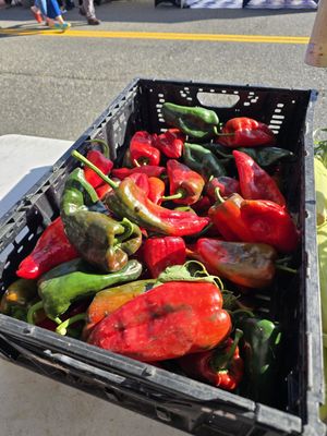 The Everett Farmers Market by null