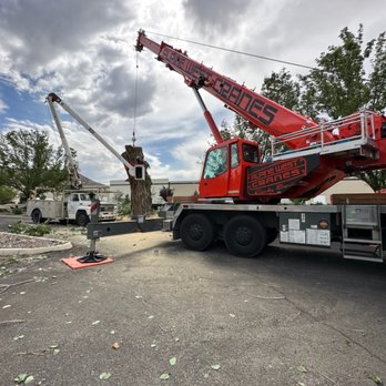 Family Roots Tree Care - Tree Services Near Me - Ward, Arkansas Family Roots Tree Care - Tree Services Near Me - Ward, Arkansas