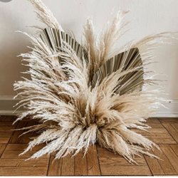 Original Flower Baby - Modern Plant Design