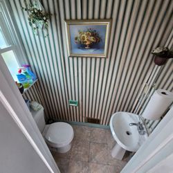 Clutter Free Service & Cleanup Pros