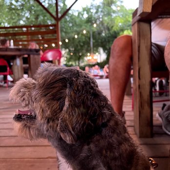Patrizi's - My bubbas under the shaded area where tables are - Italian Near Me - Austin, Texas