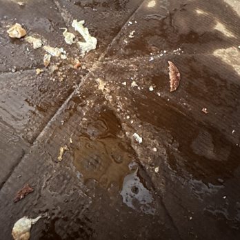Little Caesars Pizza - a broken umbrella on the sidewalk - Pizza Near Me - N Highlands, California Little Caesars Pizza - a broken umbrella on the sidewalk - Pizza Near Me - N Highlands, California