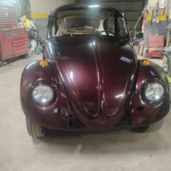 Genesis Auto Body Supply