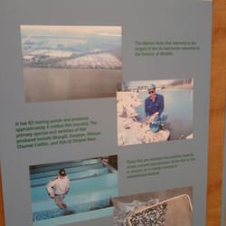 Hebron State Fish Hatchery - Displays in the education building.