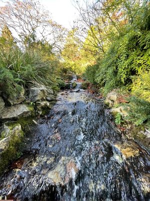 National Botanic Gardens by null
