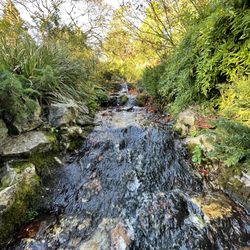 National Botanic Gardens