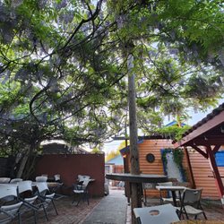 Mexico Lindo Restaurant - Patio