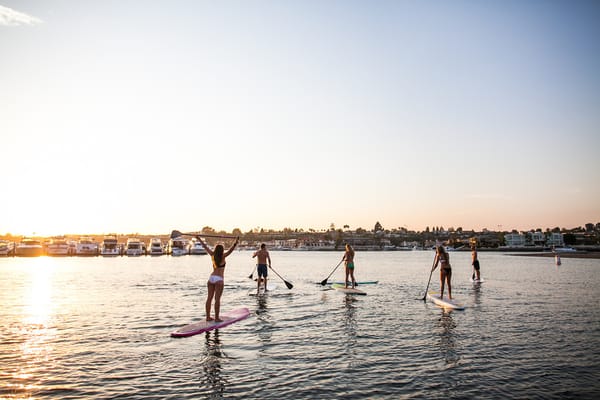 Pirate Coast Paddle Co by null