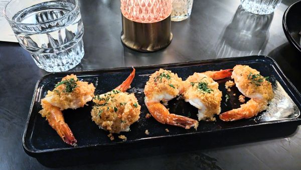 The Good Wolf by null