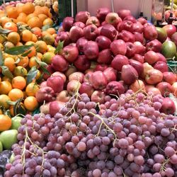 MD - Ortofrutta