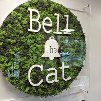Bell the Cat - Coffee & Tea Near Me - Belfast, Maine