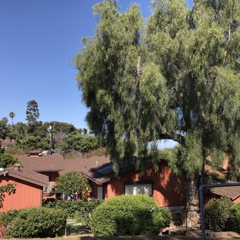 Red Maple Tree Service - Tree Services Near Me - San Diego, California Red Maple Tree Service - Tree Services Near Me - San Diego, California