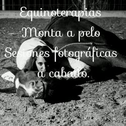 Finca Paraiso - Actividades diferentes para estar en contacto con este bello animal.