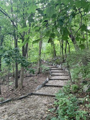 Inwood Hill Park by null