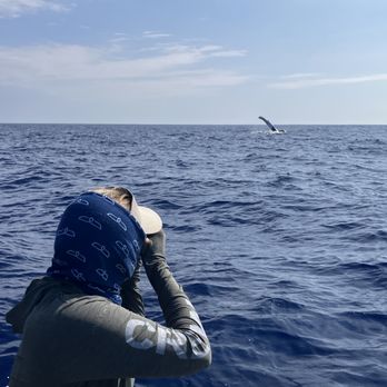 Captain Zodiac - Snorkeling Near Me - Kailua Kona, Hawaii
