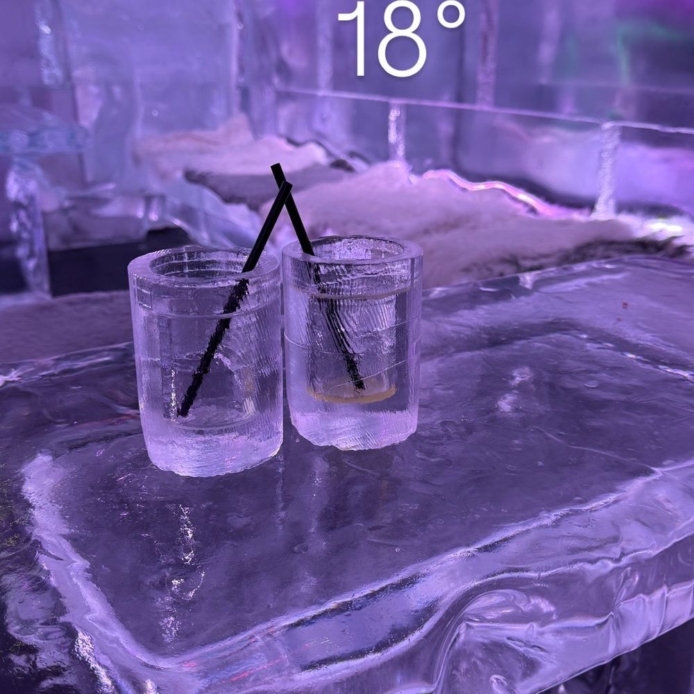 ICEBAR Orlando - Hold those cups with both hands! - Dance Clubs Near Me - Orlando, Florida ICEBAR Orlando - Hold those cups with both hands! - Dance Clubs Near Me - Orlando, Florida