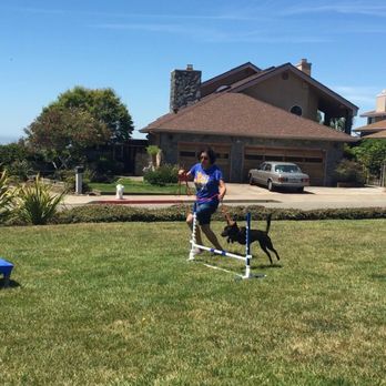 Fair Love Dog Training - Turns out Polly loves agility! - Pet Training Near Me