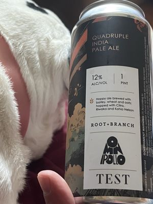 The Test Brewery by null
