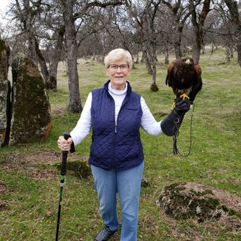 West Coast Falconry - Specialty Schools Near Me - Marysville, California West Coast Falconry - Specialty Schools Near Me - Marysville, California