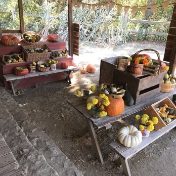 Riley's Farm - Fruits & Veggies Near Me - Oak Glen, California Riley's Farm - Fruits & Veggies Near Me - Oak Glen, California