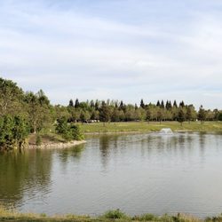 North Natomas Regional Park - 05/08/2020: Nice and relaxing view