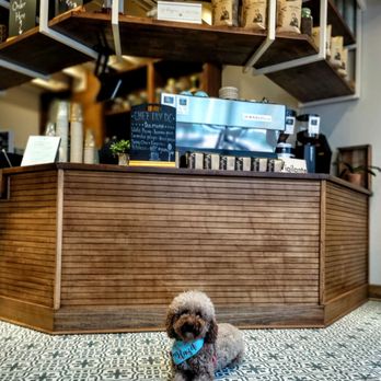 Chez Lily - Coffee - Bakeries Near Me - Washington, DC, District of Columbia
