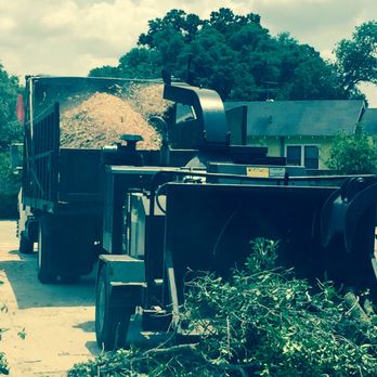 Advanced Tree Service - Tree Services Near Me - Valrico, Florida