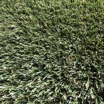 Genesis Painting - Overspray on tips of turf throughout yard. - Painters Near Me