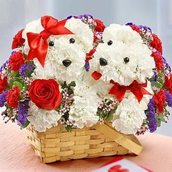 Flowers by Tara and Jewelry World - TWO PUPPIES IN LOVE