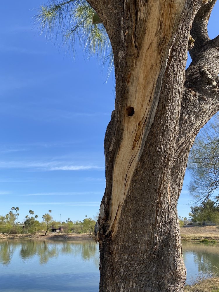 Scottsdale Nature Area