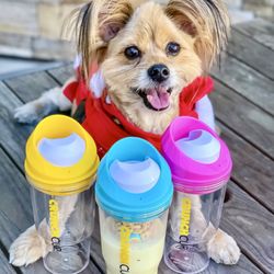Mile Square Regional Park - IG @FoodandPooch