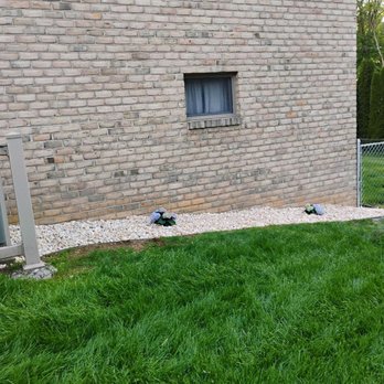 Enchanted Tree Service - Tree Services Near Me - Williamsport, Maryland Enchanted Tree Service - Tree Services Near Me - Williamsport, Maryland