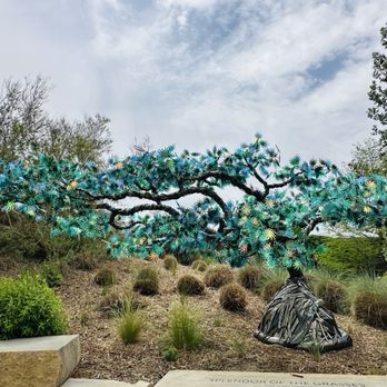 San Antonio Botanical Garden - Art installation  4/2026 - Botanical Gardens Near Me - San Antonio, Texas