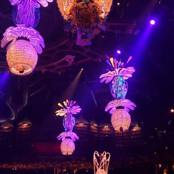 Cirque du Soleil - JOYA - Performing Arts Near Me - Playa del Carmen, ROO Cirque du Soleil - JOYA - Performing Arts Near Me - Playa del Carmen, ROO