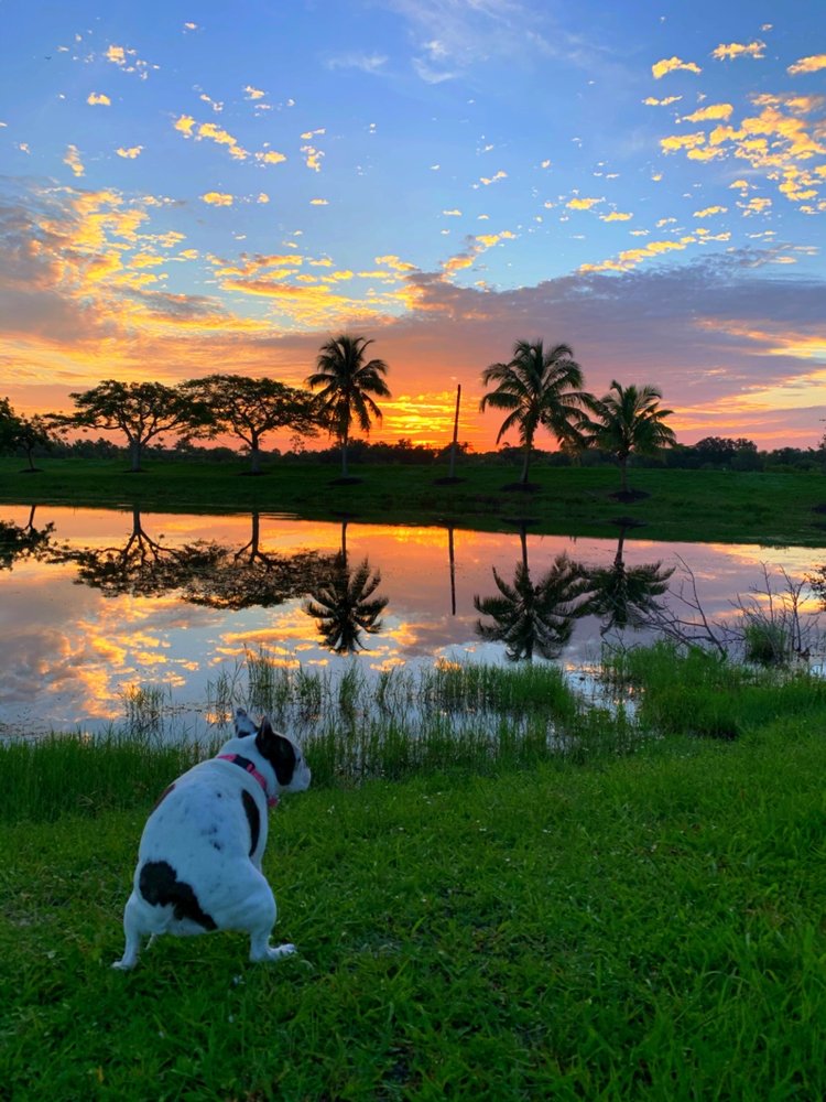 Eagle Lakes Community Park Image