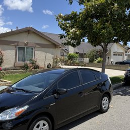 Tinted windows Tinted windows