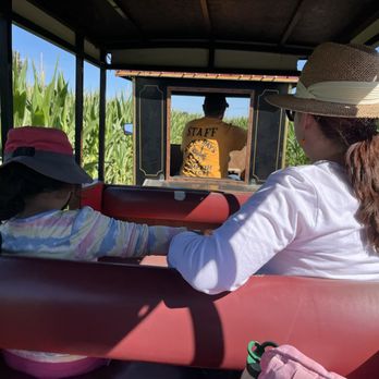 Nick and Ray’s Pumpkin Patch - Choo-choo train ride - Attraction Farms Near Me - Sacramento, California