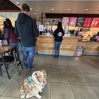 Starbucks - ** Dog friendly inside & outside **  ** on leash ** Betty Mae waiting quietly for our order - Coffee & Tea Near Me - Burbank, California