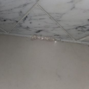 Hawx Pest Control - Ants bait in my kitchen after 1 month still there and I still have ants. - Pest Control Near Me - West Chicago, Illinois