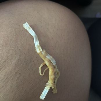 Casa Pasilla - Entire twist tie taken out of the burrito and placed on my leg. It is so long' - Mexican Near Me - Valencia, California Casa Pasilla - Entire twist tie taken out of the burrito and placed on my leg. It is so long' - Mexican Near Me - Valencia, California