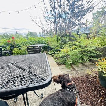 The Bank: Barroom & Eatery - I love that they allow dogs! - Cocktail Bars Near Me - Sandpoint, Idaho