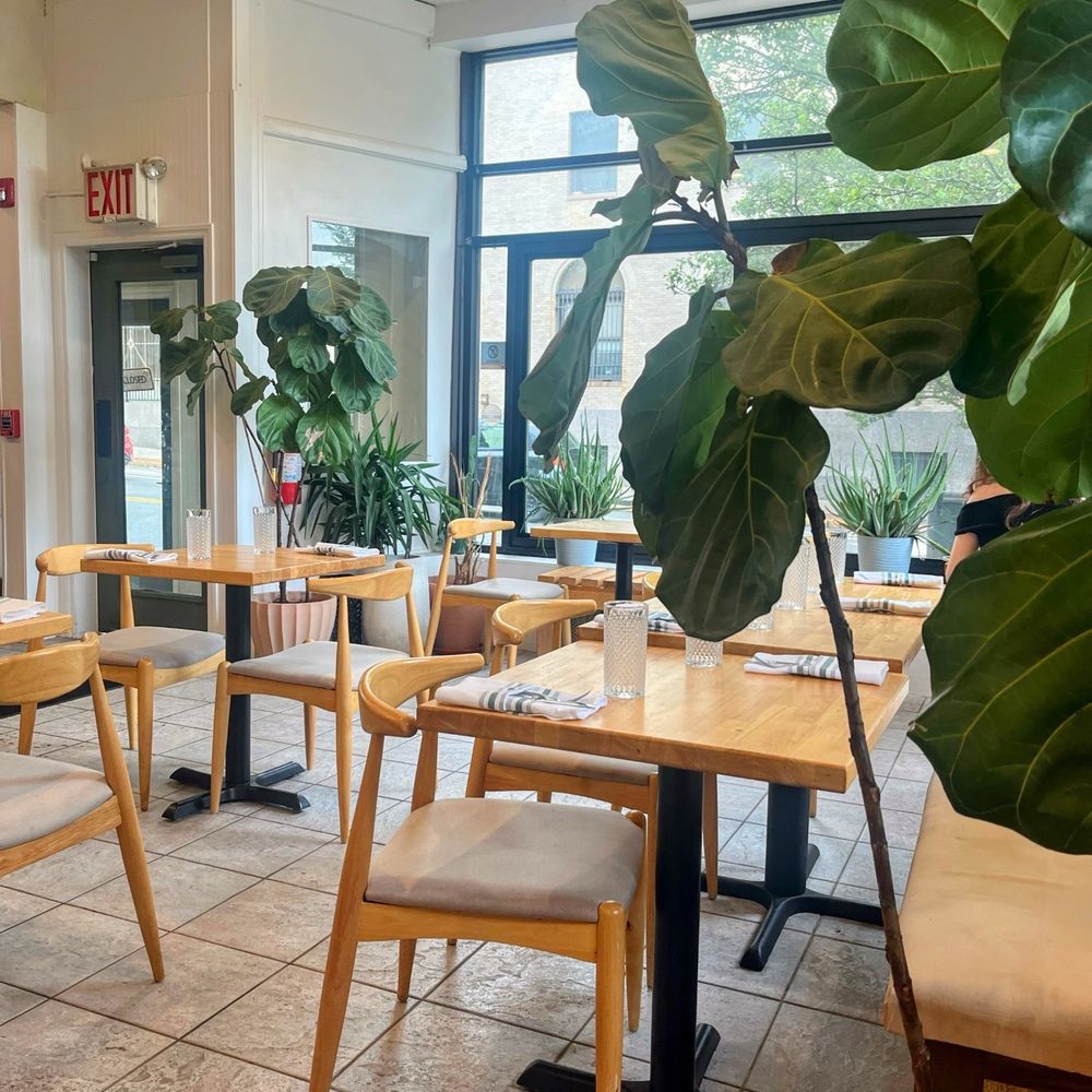 Libélula Bakery and Kitchen - Dominican Near Me - Montclair, New Jersey Libélula Bakery and Kitchen - Dominican Near Me - Montclair, New Jersey