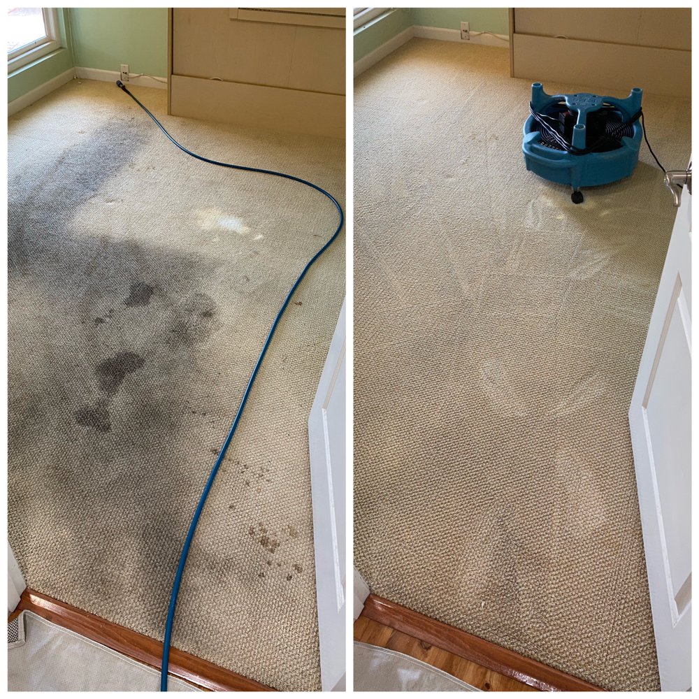 IMPERIAL CARPET CARE Updated July 2024 115 Photos & 35 Reviews