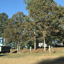 Vaiden Campground - Trailer area