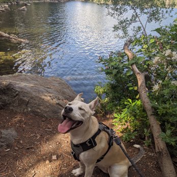 Mt Shasta Vacation Rentals - We enjoyed the trail and beaches at near by Lake Siskiyou every few days - Vacation Rentals Near Me - Mount Shasta, California