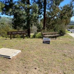 NW side of the park