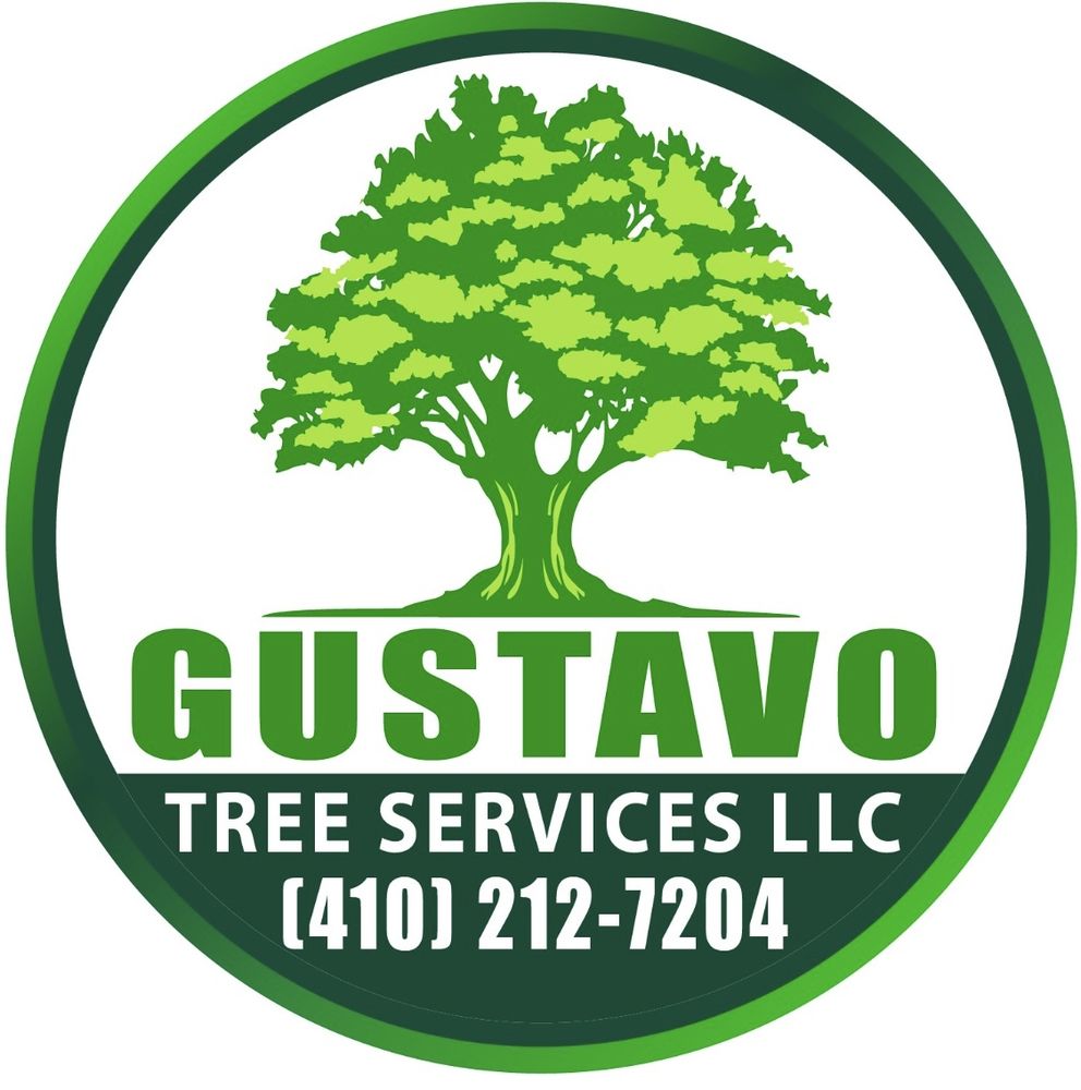 Gustavo Tree Services - tree service in Annapolis, MD