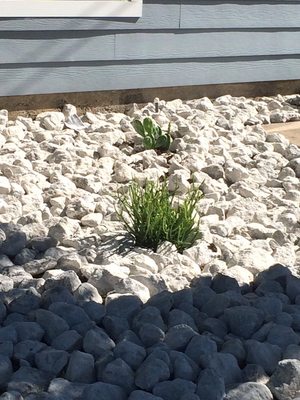 R & B's Mobile Detail Services